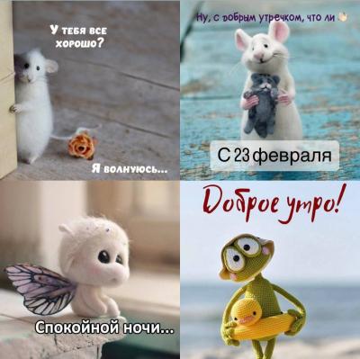 Прикрепленное изображение: photo_2024-02-23_09-34-28.jpg